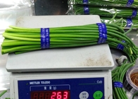 ростки длинного китайского чеснока 55cm растя