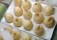 Плод Pome сока груши HACCP желтый китайский белый