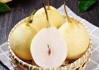 Плод Pome сока груши HACCP желтый китайский белый
