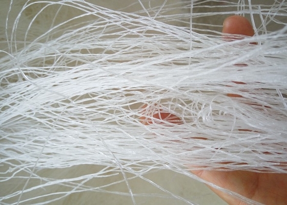 OEM Noodles Longkou Vermicelli для индивидуальной упаковки и брендинга