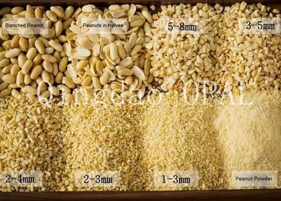 Высококачественное бланшированное арахисовое ядро, HALAL & EU Compliant, сырые арахисы без кожи для импорта