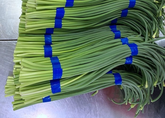 Болт чеснока HACCP свежий