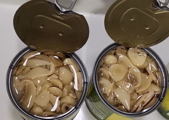 Законсервированный солью гриб Champignon