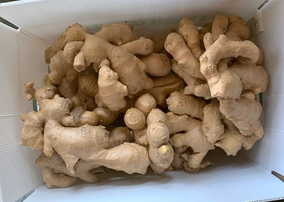 имбирь 300g высушенный воздухом желтый